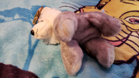 Plushie Collection [90]: 8" The Petting Zoo Grey Wolf
