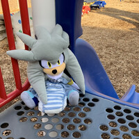 Silver ready to go down the slide (Reupload)