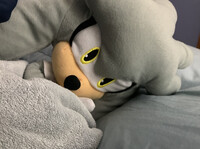 Silver ready for bed (Reupload)