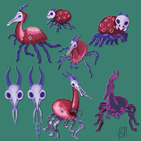 deer tick, tick deer