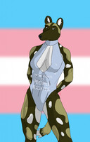 Trans Rights