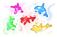 Candy Orci