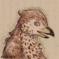 Moro sketch (BugMemory)