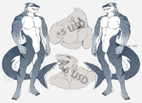 Shark Adopt! 30$ USD [SOLD] ⋆