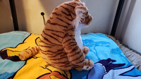 Plushie Collection [101]: 24" Alwoligag Tiger