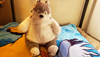Plushie Collection [103]: 24" Alwoligag Husky