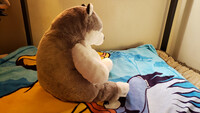 Plushie Collection [103]: 24" Alwoligag Husky