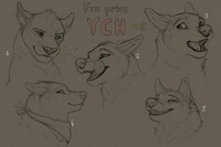 Icon YCh part 6