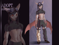 Adopt Auction (Closed)