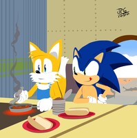 TMoSTH Sonic and Amy Fanart by Saharalioness -- Fur Affinity [dot] net