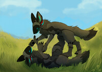 Nice Day Vally Playing