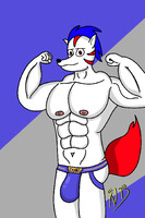 Miguel the muscular white wolf