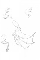 Bat Doodles (OLD)
