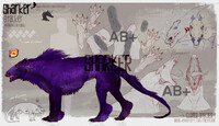 SHARKER Adopt Auction (Closed!)