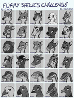 Furry Species Challenge