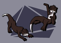 Some otter sketches