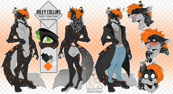 REFERENEC) Luison by Kreyxicat -- Fur Affinity [dot] net