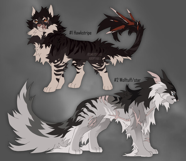 Old Warrior Cats Characters by Woofstep -- Fur Affinity [dot] net