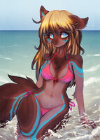 beach dog 🌊