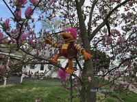 There are Fraggles in the Trees