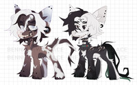 Pony Pack | closed
