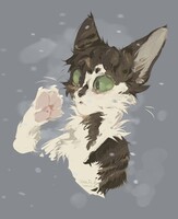 pet portrait cmm