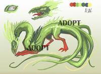 Plant Dragon Adopt