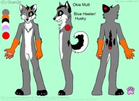 NEW Okie Ref Sheet