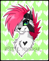 Warrior Cats Design #5) Ravenpaw by Wolfie-Moonscar -- Fur Affinity [dot]  net