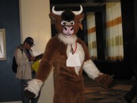 FC2011 Beefcake