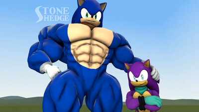 Sonic Boom and Shadow Boom Gear swap by 455510 -- Fur Affinity