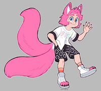 kidkytes