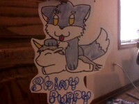 Shiny Puppy badge