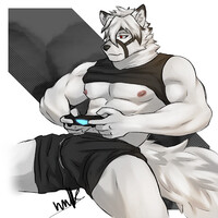 Gamer Lycaon