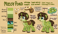 Mossy Pond - reference sheet
