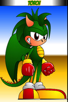 My Sonic OC Torch The Dragon