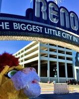 Reno Lion