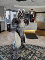 Fur Squared 2023 104