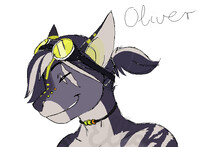 Oliver doodle