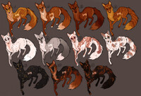 ADOPT AUCTION [24h] | OPEN