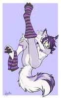 Long socks ych: Fenix