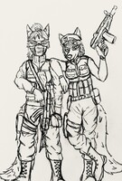 Mercs In the Balkans