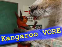 Kangaroo Vore video