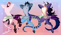 adopt