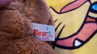 Plushie Collection [158]: 12" The Bear Factory Sitting Lion