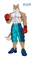 Fox boxer