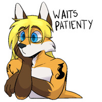 Waits Patiently