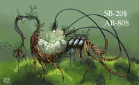 (closed)Auction Adoptable #41