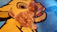 Plushie Collection [175]: 9" Ganz Webkinz Ginger Cat