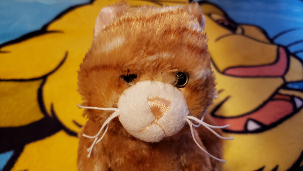 Webkinz ginger deals cat